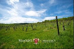 CHIANTI DOCG VINEYARDS FOR SALE IN TUSCANY