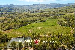 CHIANTI DOCG VINEYARDS FOR SALE IN TUSCANY