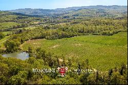 CHIANTI DOCG VINEYARDS FOR SALE IN TUSCANY