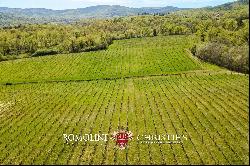 CHIANTI DOCG VINEYARDS FOR SALE IN TUSCANY