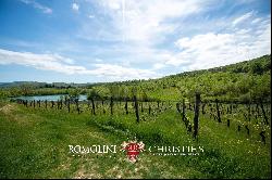 CHIANTI DOCG VINEYARDS FOR SALE IN TUSCANY