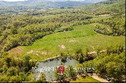 CHIANTI DOCG VINEYARDS FOR SALE IN TUSCANY