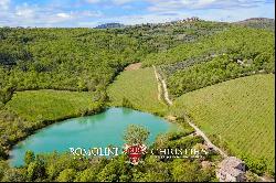 CHIANTI DOCG VINEYARDS FOR SALE IN TUSCANY