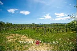 CHIANTI DOCG VINEYARDS FOR SALE IN TUSCANY