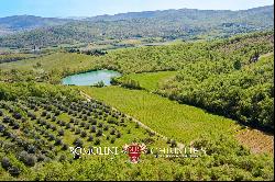 CHIANTI DOCG VINEYARDS FOR SALE IN TUSCANY