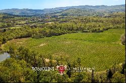 CHIANTI DOCG VINEYARDS FOR SALE IN TUSCANY