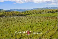 CHIANTI DOCG VINEYARDS FOR SALE IN TUSCANY