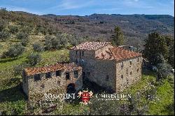 CONTRY HOUSE TO BE RESTORED FOR SALE IN AREZZO, TUSCANY