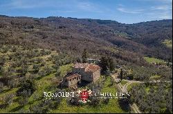 CONTRY HOUSE TO BE RESTORED FOR SALE IN AREZZO, TUSCANY