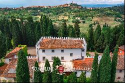 TUSCAN ESTATE WITH HISTORICAL VILLA AND VINEYARDS FOR SALE BETWEEN FLORENCE AND PISA