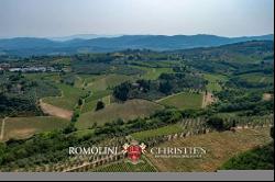 HISTORIC VILLA WITH VINEYARDS FOR SALE 30 KM FROM FLORENCE, CHIANTI