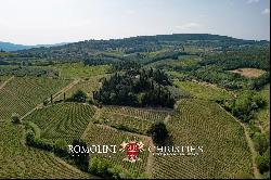 HISTORIC VILLA WITH VINEYARDS FOR SALE 30 KM FROM FLORENCE, CHIANTI