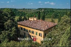 HISTORIC VILLA WITH VINEYARDS FOR SALE 30 KM FROM FLORENCE, CHIANTI