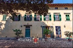 HISTORIC VILLA WITH VINEYARDS FOR SALE 30 KM FROM FLORENCE, CHIANTI