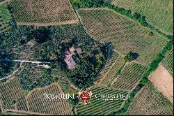 HISTORIC VILLA WITH VINEYARDS FOR SALE 30 KM FROM FLORENCE, CHIANTI