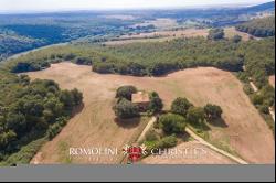 756-HA HUNTING ESTATE FOR SALE IN MAREMMA, TUSCANY