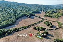 756-HA HUNTING ESTATE FOR SALE IN MAREMMA, TUSCANY