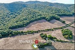 756-HA HUNTING ESTATE FOR SALE IN MAREMMA, TUSCANY