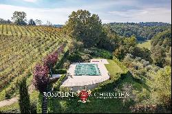 ESTATE WITH VINEYARD AND HUNTING RESERVE FOR SALE IN FLORENCE, TUSCANY