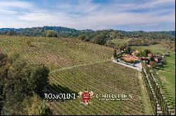 ESTATE WITH VINEYARD AND HUNTING RESERVE FOR SALE IN FLORENCE, TUSCANY