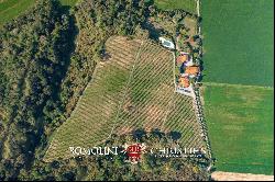 ESTATE WITH VINEYARD AND HUNTING RESERVE FOR SALE IN FLORENCE, TUSCANY