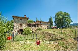 RESTORED COUNTRY HOUSE BOUTIQUE VINEYARD FOR SALE TUSCANY