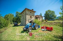 RESTORED COUNTRY HOUSE BOUTIQUE VINEYARD FOR SALE TUSCANY