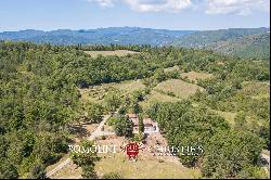 RESTORED COUNTRY HOUSE BOUTIQUE VINEYARD FOR SALE TUSCANY