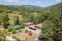 RESTORED COUNTRY HOUSE BOUTIQUE VINEYARD FOR SALE TUSCANY