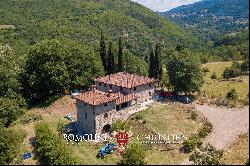 RESTORED COUNTRY HOUSE BOUTIQUE VINEYARD FOR SALE TUSCANY