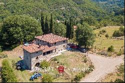 RESTORED COUNTRY HOUSE BOUTIQUE VINEYARD FOR SALE TUSCANY