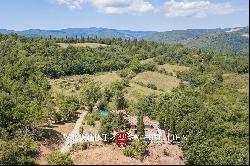 RESTORED COUNTRY HOUSE BOUTIQUE VINEYARD FOR SALE TUSCANY