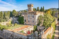 MAJESTIC CASTLE WITH VINEYARDS AND OLIVE GROVE FOR SALE FLORENCE, FIESOLE | Romolini - Ch