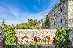 MAJESTIC CASTLE WITH VINEYARDS AND OLIVE GROVE FOR SALE FLORENCE, FIESOLE | Romolini - Ch