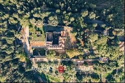 MAJESTIC CASTLE WITH VINEYARDS AND OLIVE GROVE FOR SALE FLORENCE, FIESOLE | Romolini - Ch