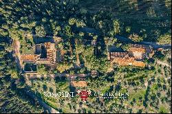 MAJESTIC CASTLE WITH VINEYARDS AND OLIVE GROVE FOR SALE FLORENCE, FIESOLE | Romolini - Ch