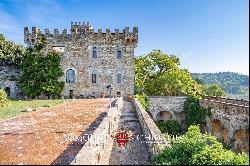 MAJESTIC CASTLE WITH VINEYARDS AND OLIVE GROVE FOR SALE FLORENCE, FIESOLE | Romolini - Ch