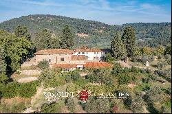 MAJESTIC CASTLE WITH VINEYARDS AND OLIVE GROVE FOR SALE FLORENCE, FIESOLE | Romolini - Ch