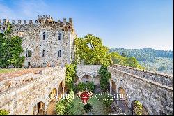 MAJESTIC CASTLE WITH VINEYARDS AND OLIVE GROVE FOR SALE FLORENCE, FIESOLE | Romolini - Ch