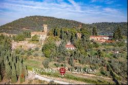 MAJESTIC CASTLE WITH VINEYARDS AND OLIVE GROVE FOR SALE FLORENCE, FIESOLE | Romolini - Ch