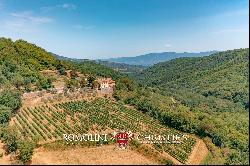 HISTORIC PROPERTY WITH VINEYARDS FOR SALE CHIANTI CLASSICO