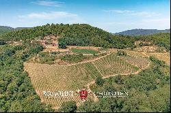 HISTORIC PROPERTY WITH VINEYARDS FOR SALE CHIANTI CLASSICO