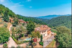 HISTORIC PROPERTY WITH VINEYARDS FOR SALE CHIANTI CLASSICO