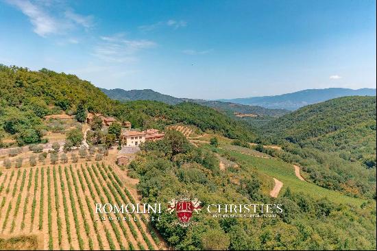 HISTORIC PROPERTY WITH VINEYARDS FOR SALE CHIANTI CLASSICO