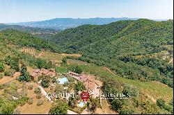 HISTORIC PROPERTY WITH VINEYARDS FOR SALE CHIANTI CLASSICO