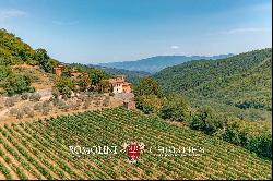 HISTORIC PROPERTY WITH VINEYARDS FOR SALE CHIANTI CLASSICO