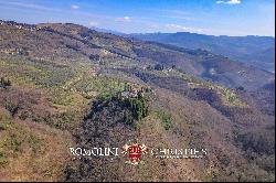 RESTORED HAMLET FOR SALE 30 MINUTES FROM FLORENCE, TUSCANY