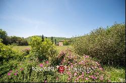 190-HECTARE ESTATE FOR SALE IN MAREMMA, TUSCANY | Romolini - Christie's