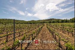 190-HECTARE ESTATE FOR SALE IN MAREMMA, TUSCANY | Romolini - Christie's