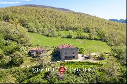 RESTORED COUNTRY HOUSE FOR SALE TUSCANY FORESTE CASENTINESI NATIONAL PARK